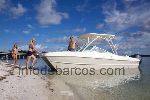 World Cat 230SD opinión y ficha técnica